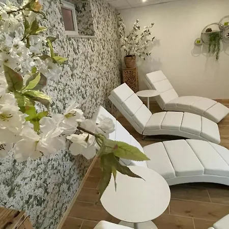 酒店 Boutique Restaurant Hollerather Hof