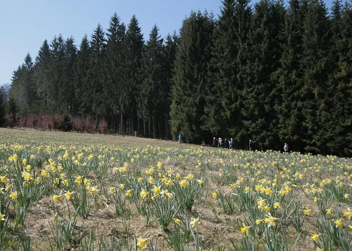 Boutique Restaurant Hollerather Hof 3* Hellenthal